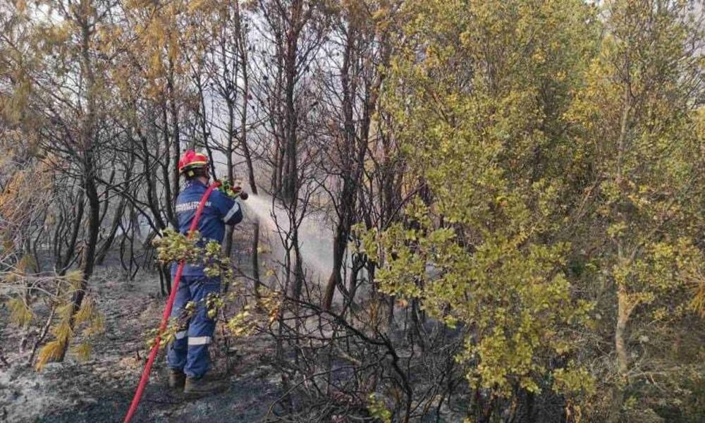 Πυροσβεστική: Υπό έλεγχο οι φωτιές σε Μαρούσι και Σπάτα